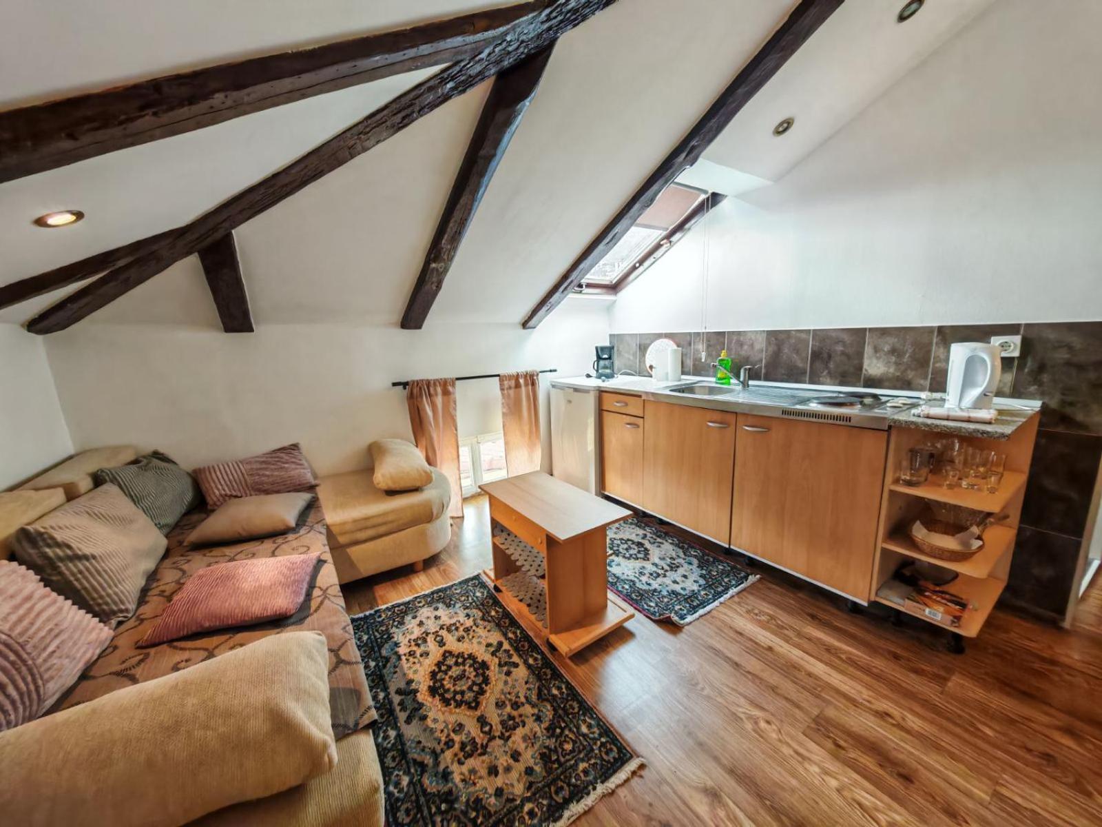 Apartment Damir Opatija Bagian luar foto